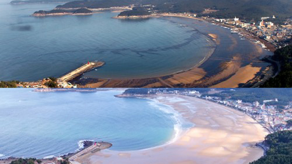 태안 기름 유출 제거에 7년 걸려