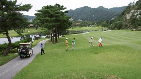 골프장은 김영란법 무풍지대작년 영업이익 증가