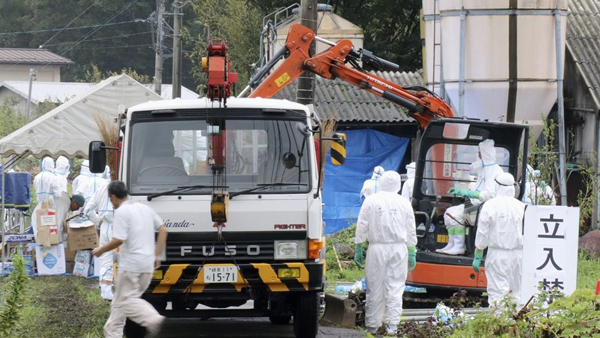 한국중국일본 등 9개국 벨기에산 돼지고기 수입 전면 중단