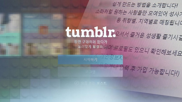 텀블러 "17일부터 성인물 금지"