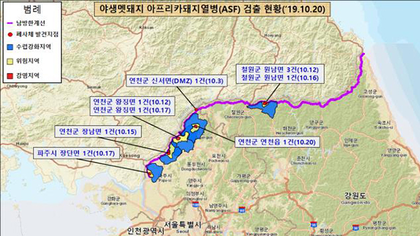 민통선 남쪽에서 아프리카돼지열병 멧돼지 또 발견