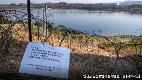 연천 야생멧돼지 바카라 규칙 ASF 바이러스…전국 54번째