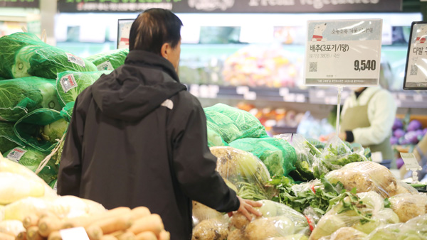 올해 소비자물가 역대 최저 0.4% 상승…12월은 0.7% 상승