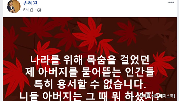 손혜원 부친 특혜 논란에 "당신 아버지는 뭐 하셨나"