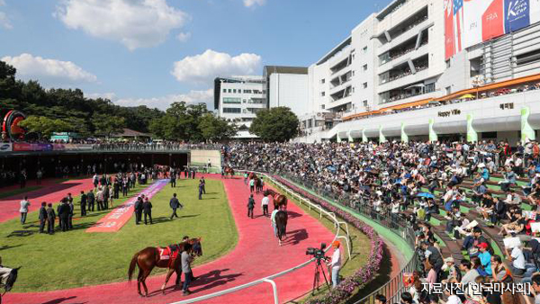 2019 코리아컵코리아스프린트 국제경마대회 오늘 서울경마공원서 열려