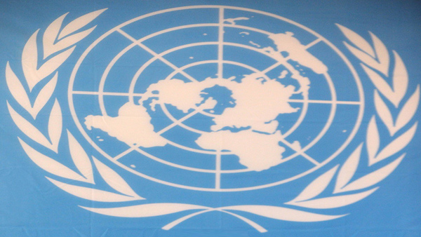 '사이버범죄 결의안' 유엔 총회 통과…