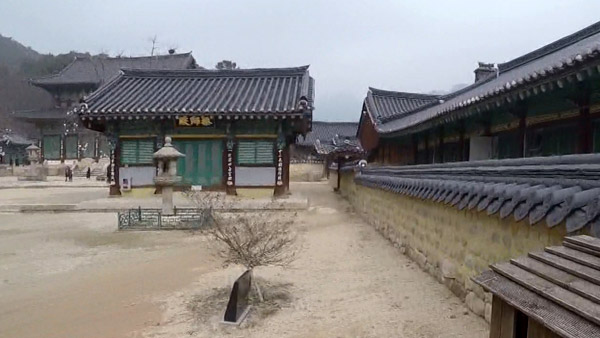 조계종, 법주사 도박의혹 물의 스님 4명 직무정지