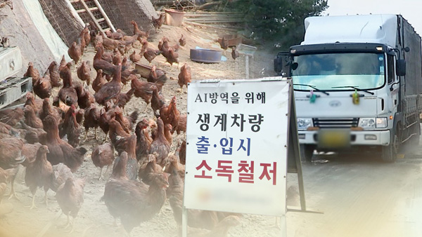 돼지열병·AI·구제역 차단…설 앞두고 전국 일제소독