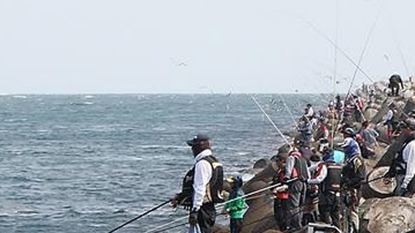 비어업인도 '금어기' 어기고 낚시하면 과태료 80만원