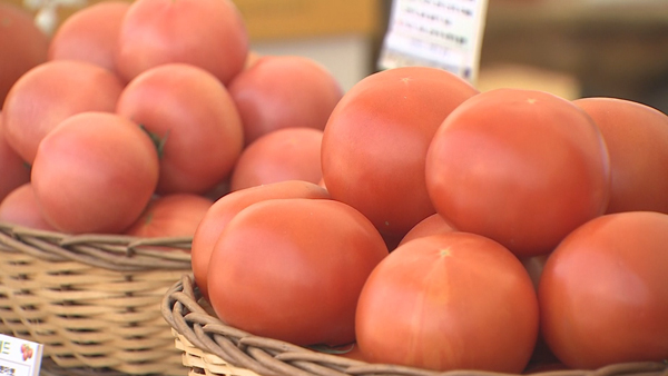 토마토 수급 비상…프랜차이즈 햄버거서 잇따라 빠져
