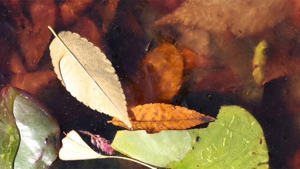 강원도 일대, 올가을 첫 건조경보 발효 