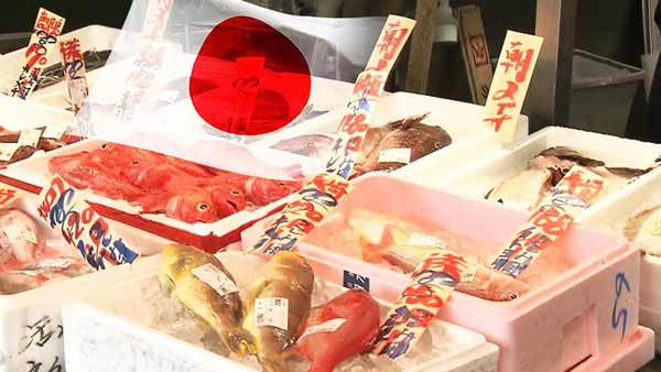 'RCEP서명' "일본산 수입과 민감 수산물 추가 개방 최소화"