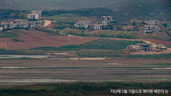북한, 4월 러시아에서 최근 5년 분량 곡물 수입
