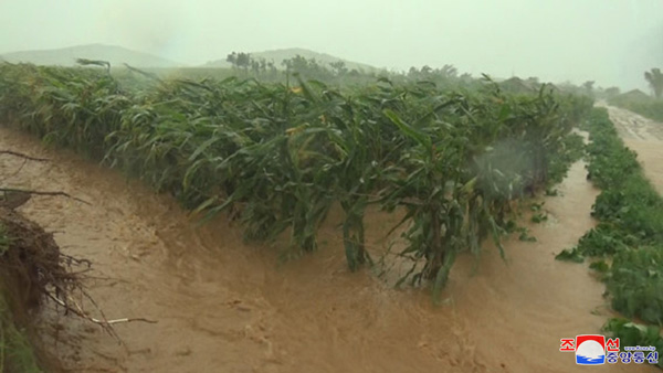 북한에도 '물폭탄'…홍수 피해 긴장감 높아져