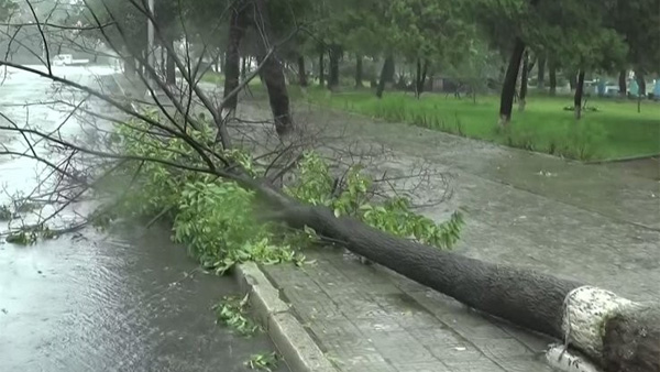 북한, 태풍 '바비' 북상 예보에 경보 내리고 긴급대책 가동