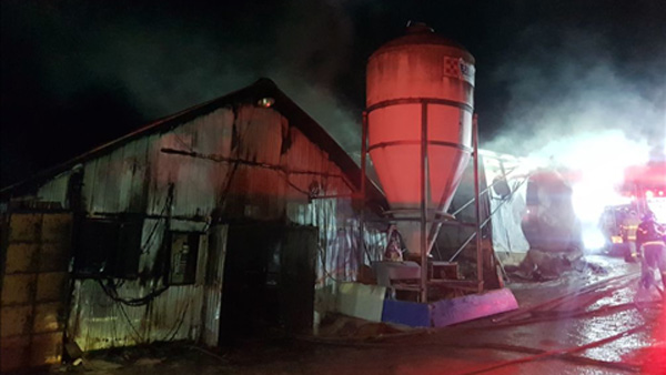 충북 충주 돼지농장서 불…16마리 폐사