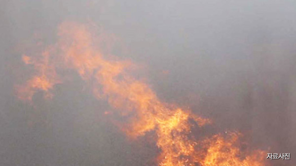 스마트키 시동걸자 승용차 '불'…200만원 피해