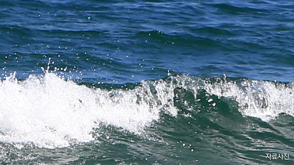 울산서 성묘객 탄 선박 침몰…1명 실종·9명 구조