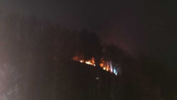 강원 원주시 신림면 야산 화재…0.40ha 소실