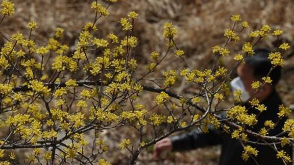 [날씨] 오늘과 내일 포근…내일 밤부터 비