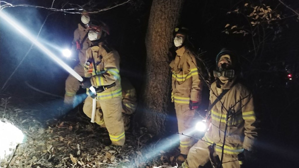 울산 울주군 산불 200ha 태워…오전 11시 진화 완료