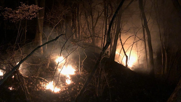 경북 구미 야산에서 불…산림 4천제곱미터 피해