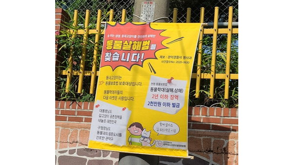 관악구서 고양이 사체 잇따라 발견…경찰 수사 나서