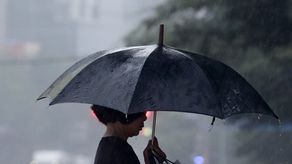 [날씨] 내일까지 내륙 소나기…태풍 '마이삭' 다음주 영향