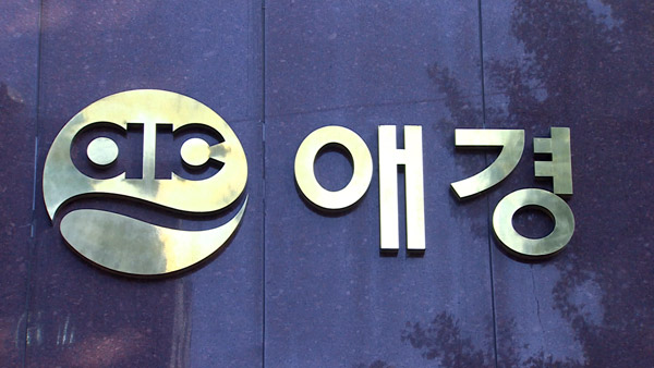 '프로포폴 불법투약' 애경그룹 2세 징역 8개월…법정구속