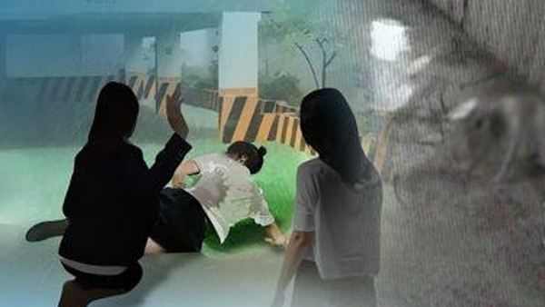 지난해 소년범죄 사건 전년대비 10% 증가…연간 3만7천건