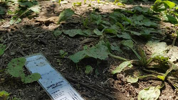 검찰, 인제 등산객 '묻지마 살인' 피고인에 사형 구형