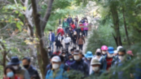 회사 주말 등산행사 중 사망…법원 "업무상 재해"