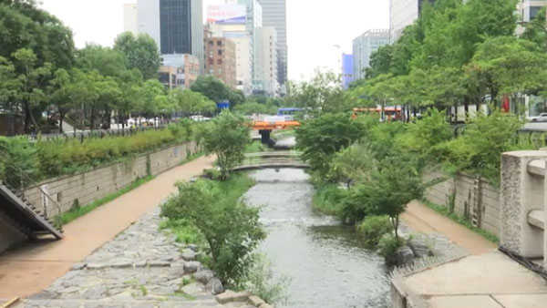 폭우에 출입 통제됐던 서울 청계천 산책로 통행 재개