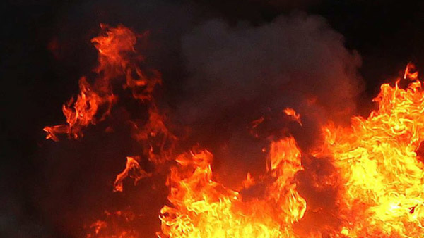 경북 울진군 야산에 불003헥타르 피해