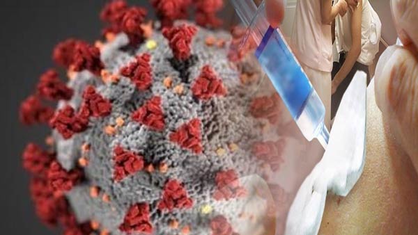 英 옥스퍼드대·러시아 보건당국, 코로나19 백신 동물 실험 착수