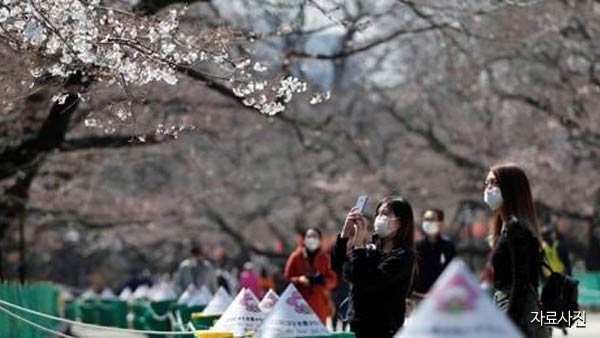 일본 코로나19 '정부 대책본부' 설치…비상사태 선언 가능