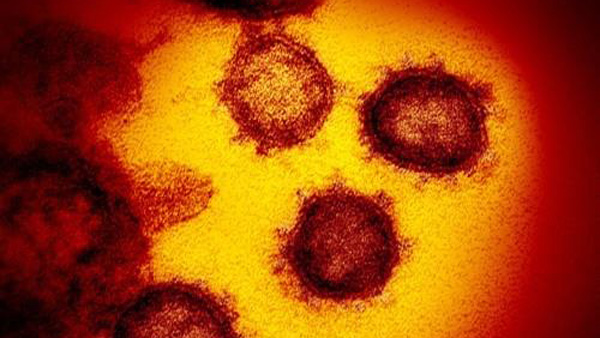 중국 "초기 코로나19 바이러스 표본 일부 파괴" 시인