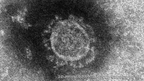 "'침묵의 전파자' 무증상 감염자, 더 오래 바이러스 퍼뜨려"