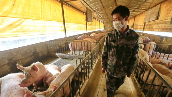 중국 정부 "돼지독감 바이러스…필요한 모든 조처 다할 것"