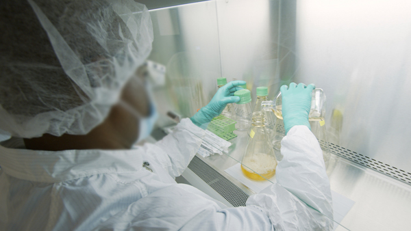 코로나 항체 최소 4개월 지속…문제는 재감염 가능성