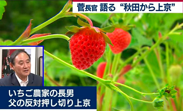 [World Now] 日 스가 장관 '가짜 흙수저' 논란…알고보니 '부농 아들'