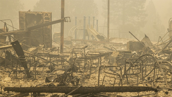 미 서부 산불 확산…사망자 최소 31명