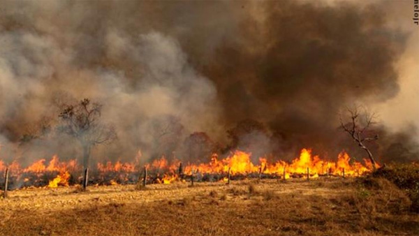 브라질 열대늪지 판타나우 화재로 비상사태 선포