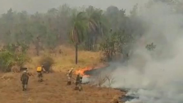 브라질, 판타나우 열대늪지 화재 진화 위해 군 동원할듯