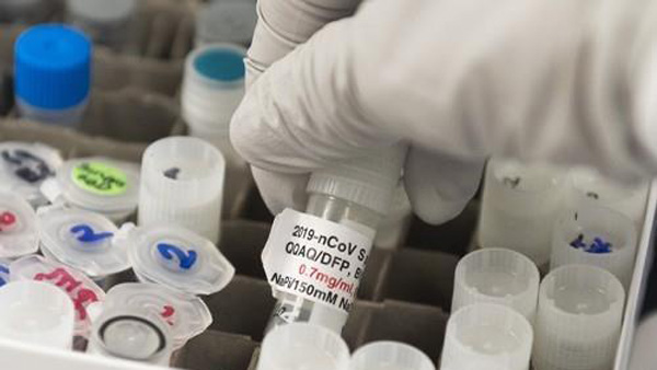 노바백스, 영국서 코로나19 백신 임상 3상 돌입…다음달엔 미국서