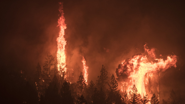 미 캘리포니아 산불 역대 최대 피해