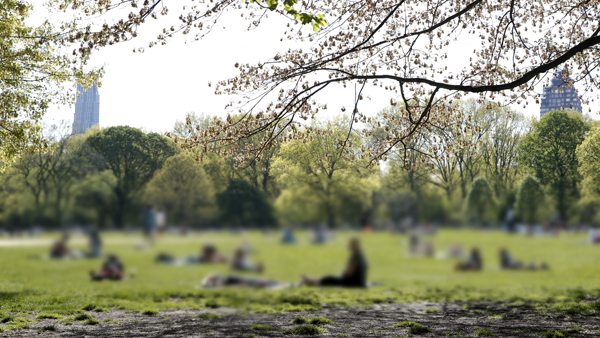 "한국에 대한 미국 국민 호감도 60점…역대 최고"