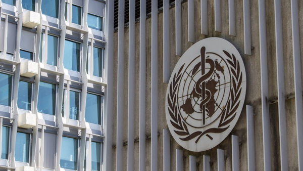 WHO 본부서도 집단감염…지금까지 65명 확진 