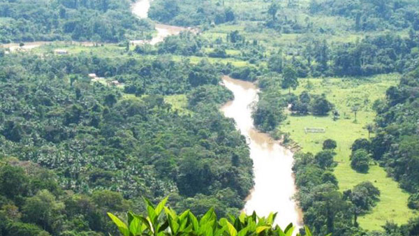 브라질, 국제사회 압박에도 아마존 관통 도로 추가 건설 계획