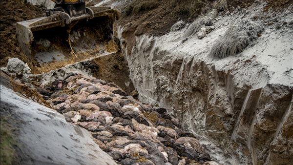 [World Now] 장관 퇴진에 총리까지 울린 '좀비 밍크' 